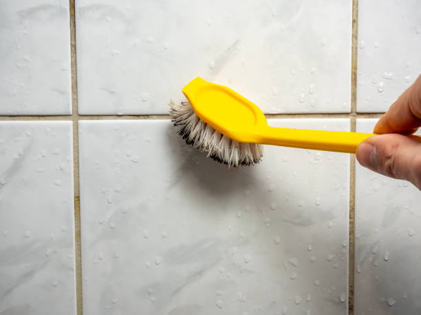 Best Affordable Mold Removal  in Dunedin, FL